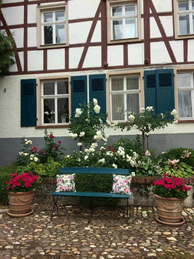平德里希Altes Winzerhaus Lenz公寓 外观 照片